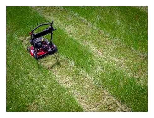 snapper, commercial, lawn, mower, crp218520